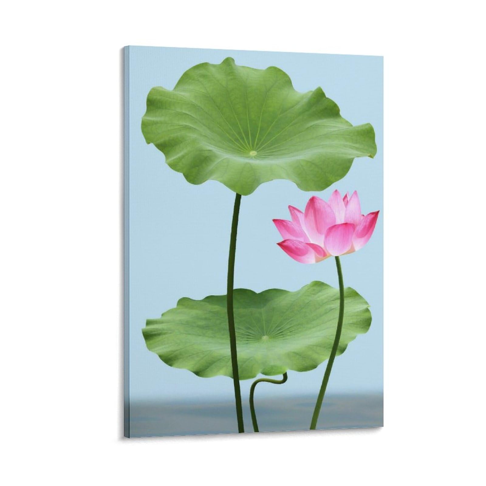 Amazon.co.jp: 蓮の葉と水上の蓮 アートパネル 花植物装飾画 絵画